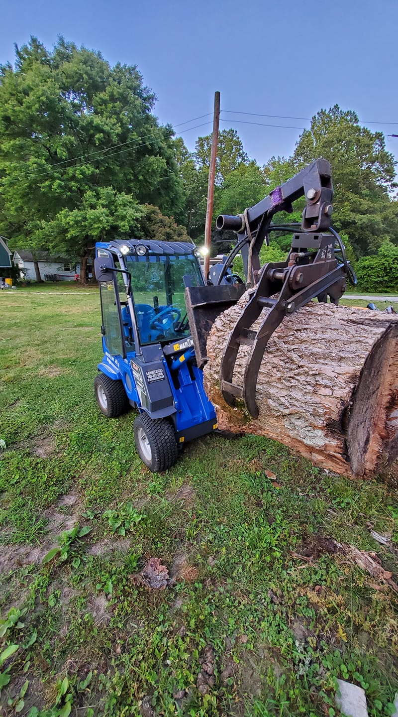 Advanced Arboriculture crew — tree care work in Central Maryland