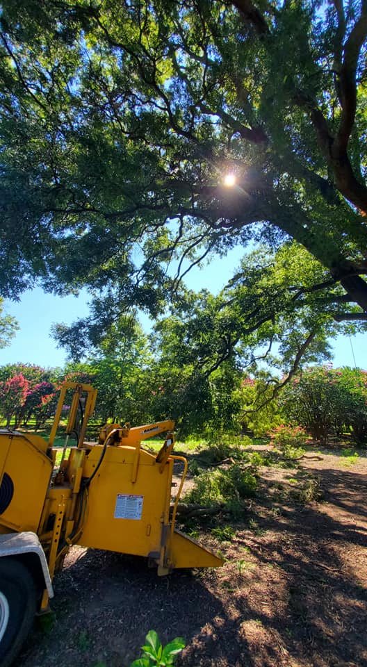 Advanced Arboriculture team on job site — Anne Arundel County MD