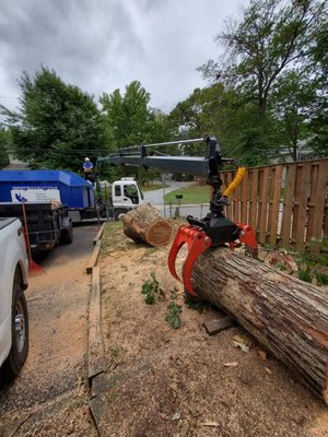 Tree work completed by Advanced Arboriculture — Linthicum MD